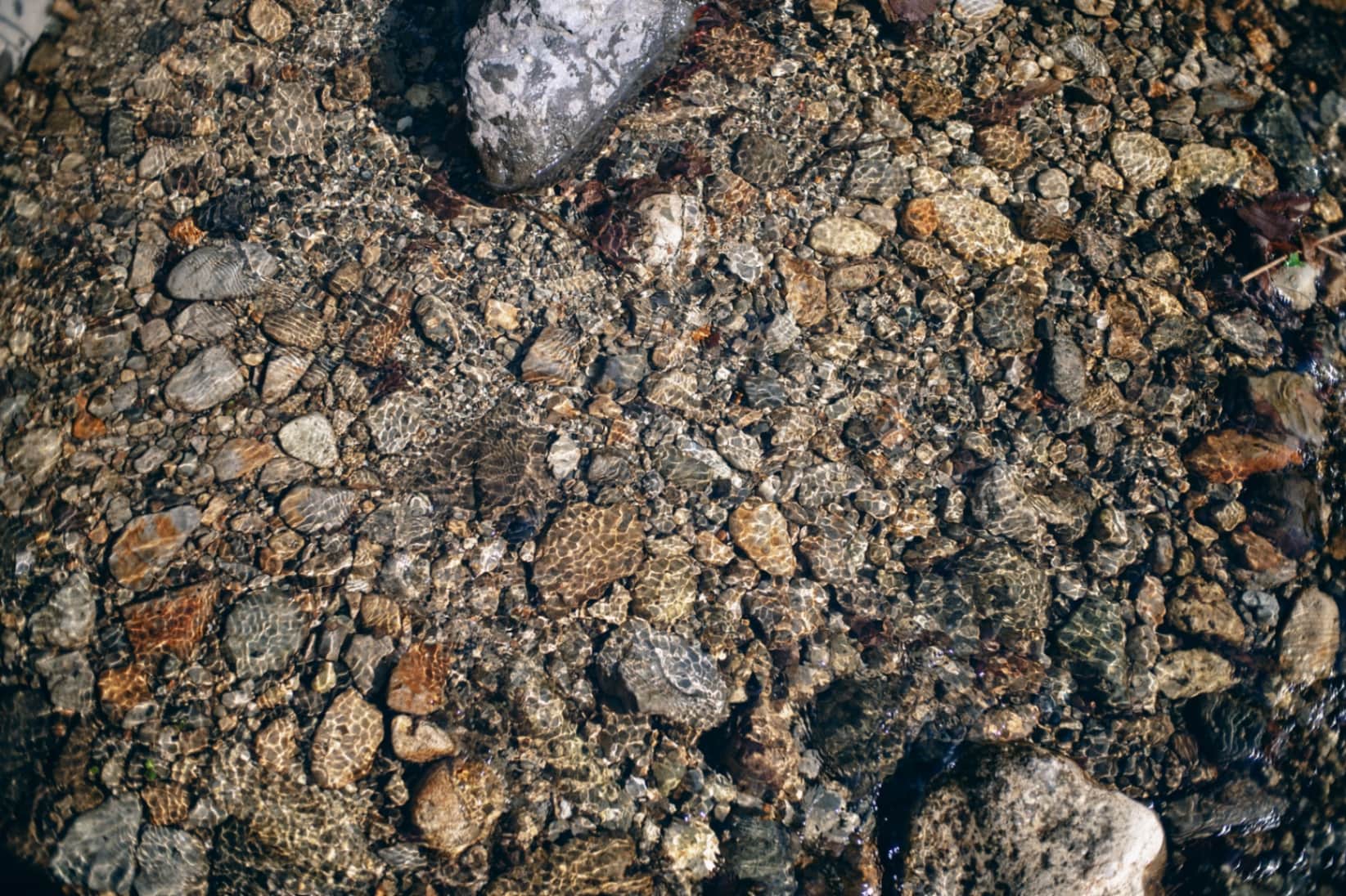 The River's Mosaic
