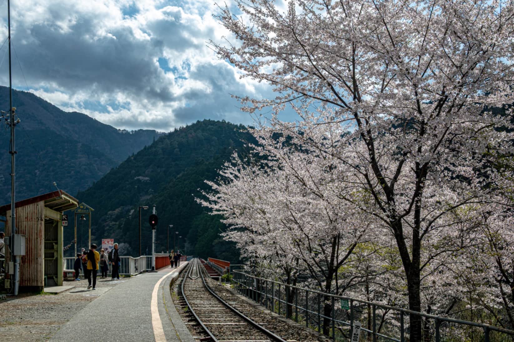 Ephemeral Tracks: Spring on the Rails