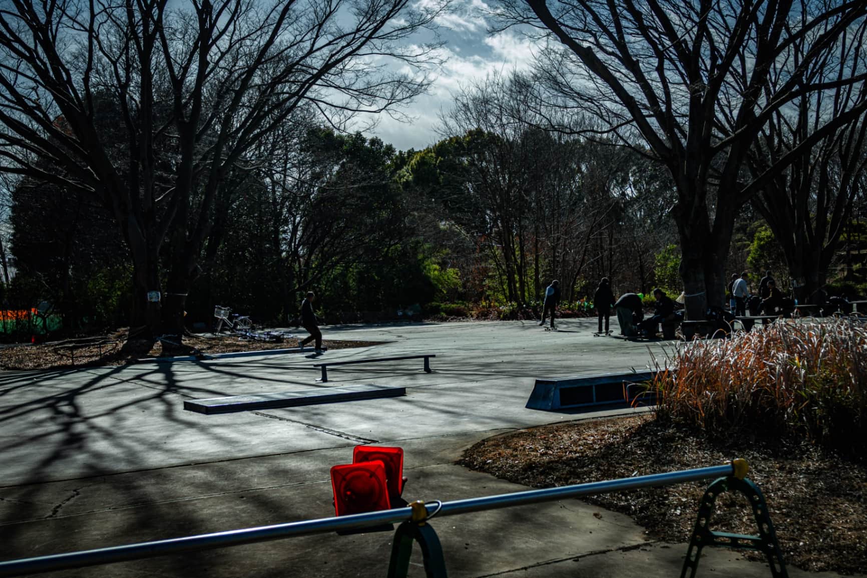 Concrete Rhythms: Winter Skate Sanctuary