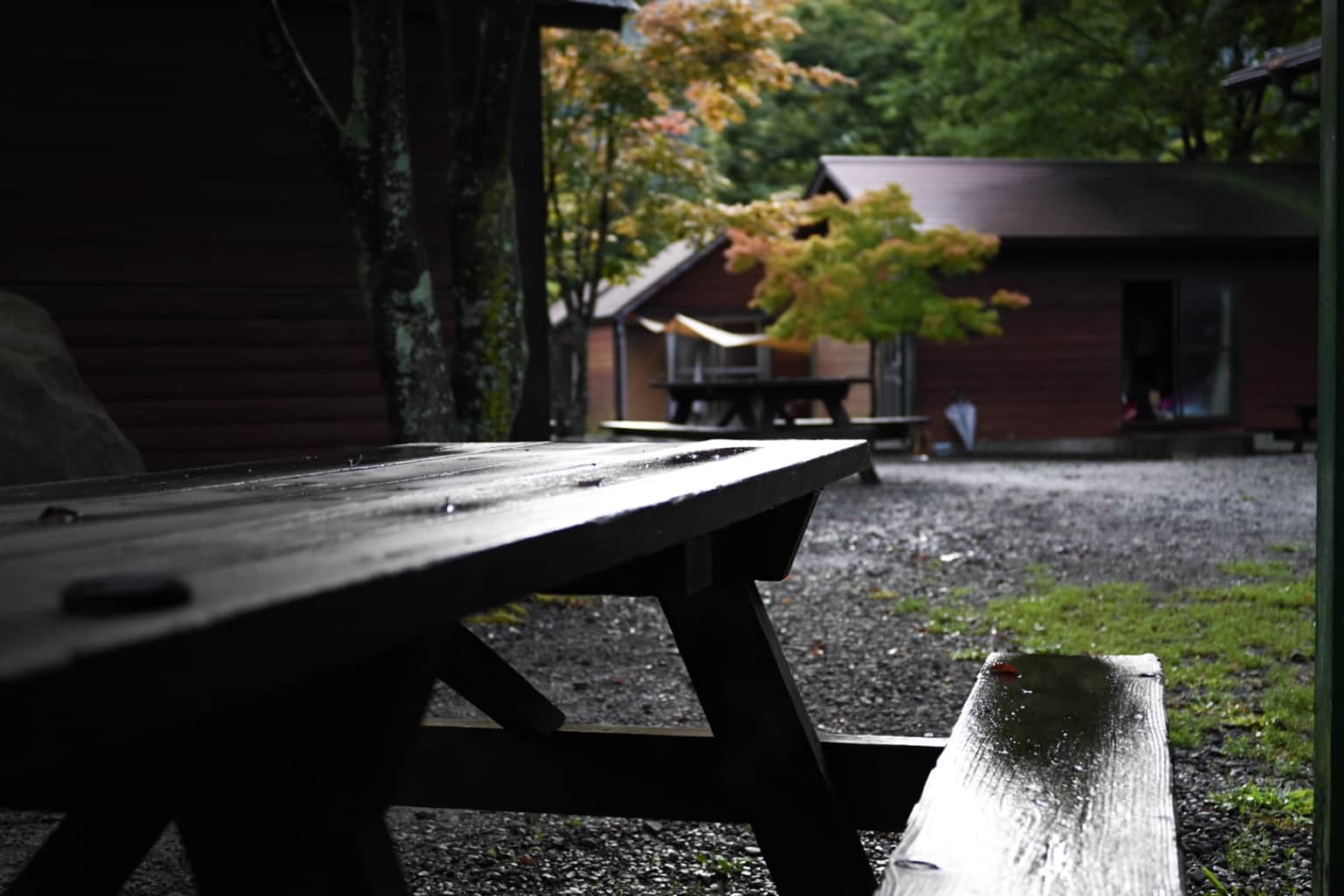 Wet Wooden Picnic Table at a Quiet Campsite After Rain