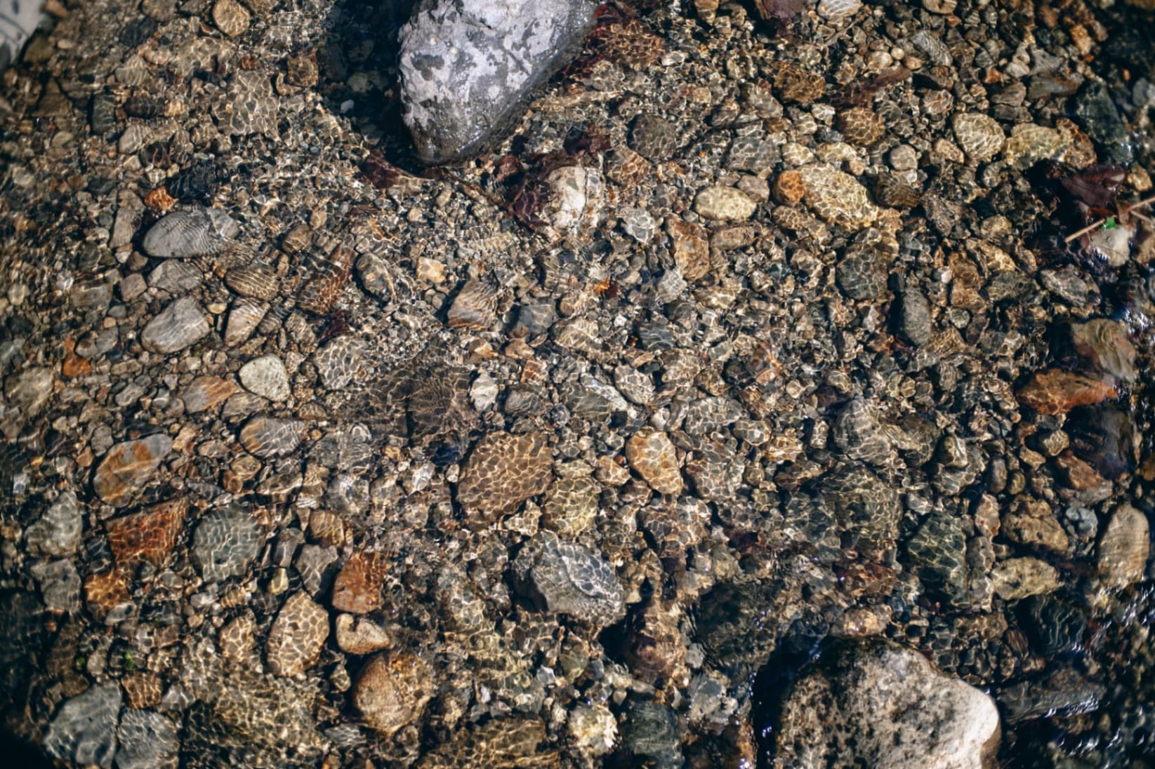 Top-down view of clear water flowing over smooth, multi-colored river stones with sunlight caustic patterns.