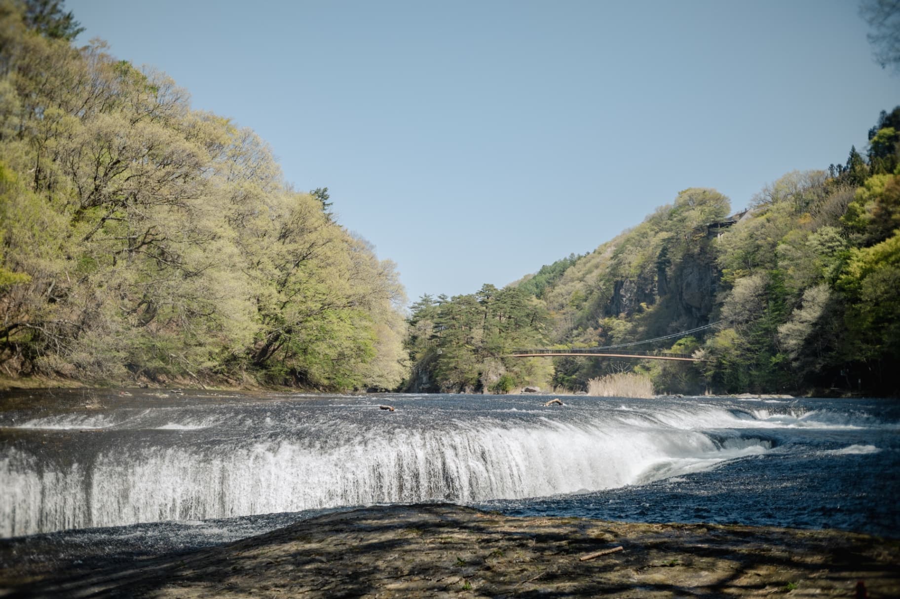 A wide landscape view of Fukiware Falls in Gunma showing water flowing into a deep riverbed fissure surrounded by green trees and a bridge in the distance.