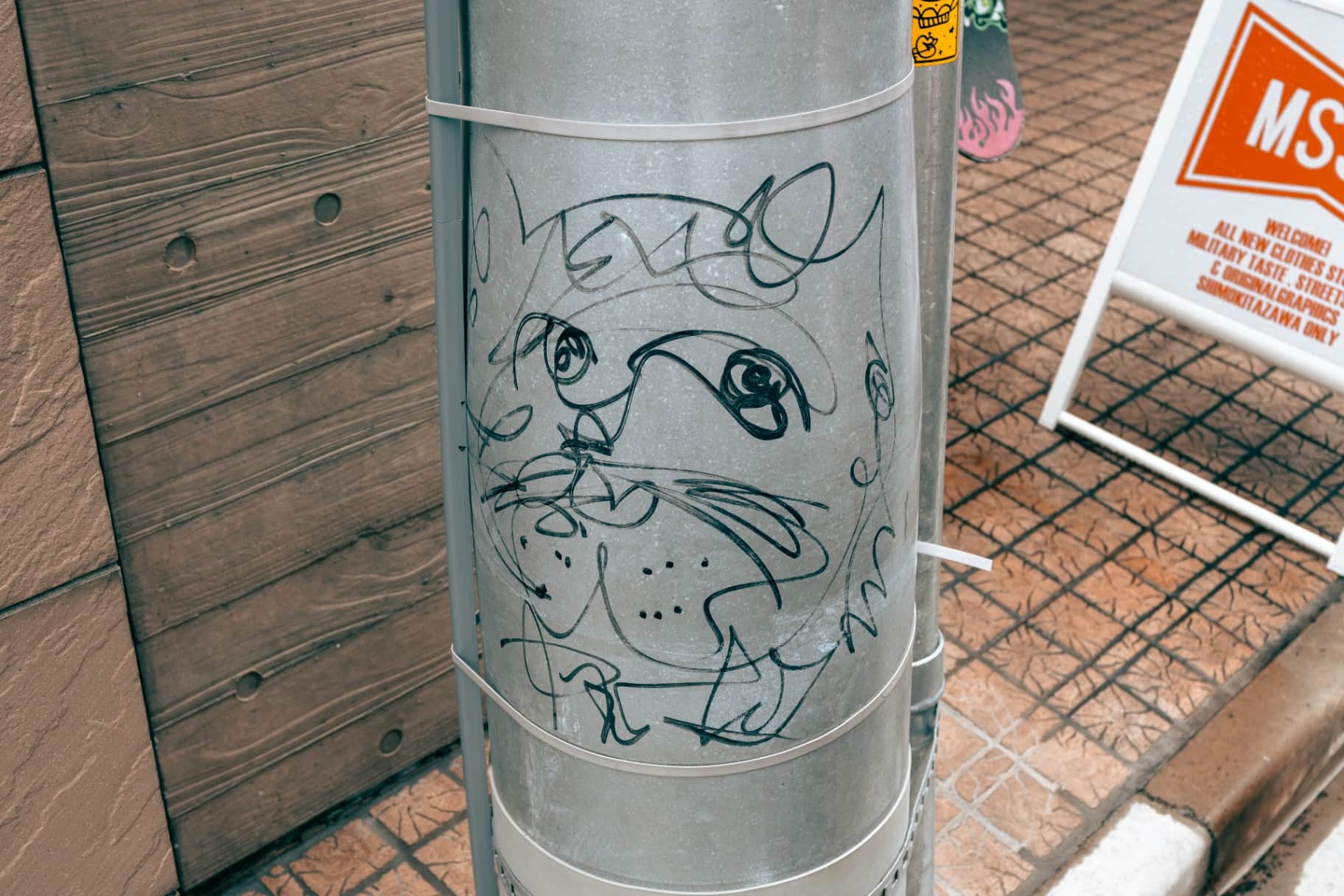 Shimokitazawa Soul: Street Snap Chronicles